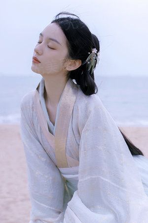 凤阙不悔歌