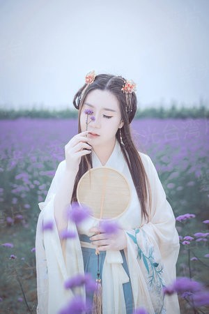无敌神兽统领系统